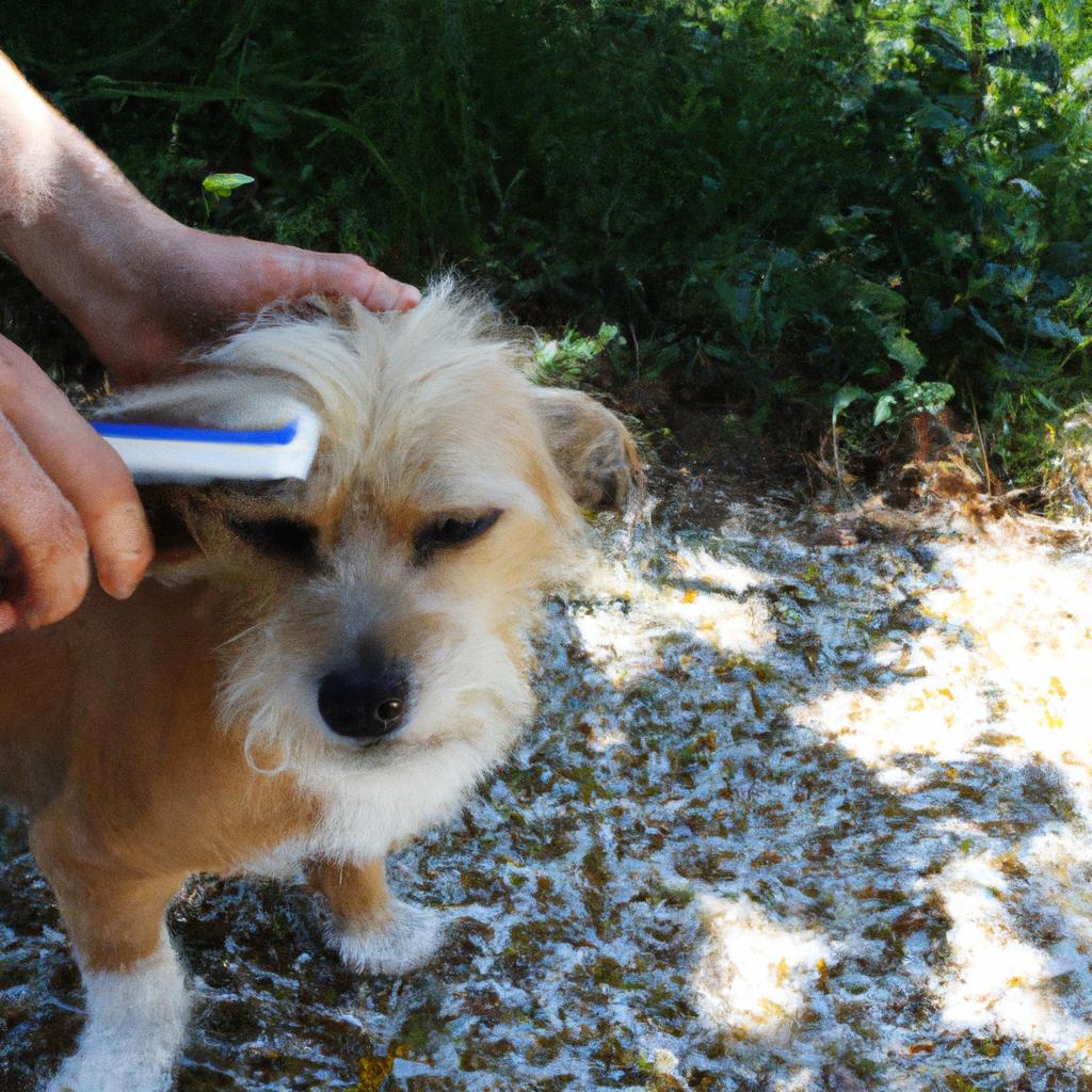 Brushing: A Vital Step in Dog Grooming Salon: Nail Trimming