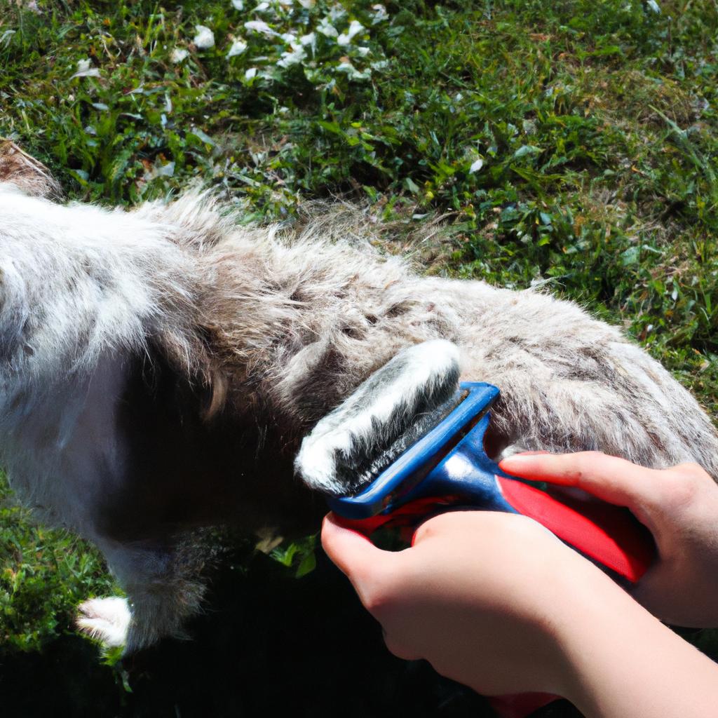 Coat Brushing: Essential Technique for Dog Grooming Salon