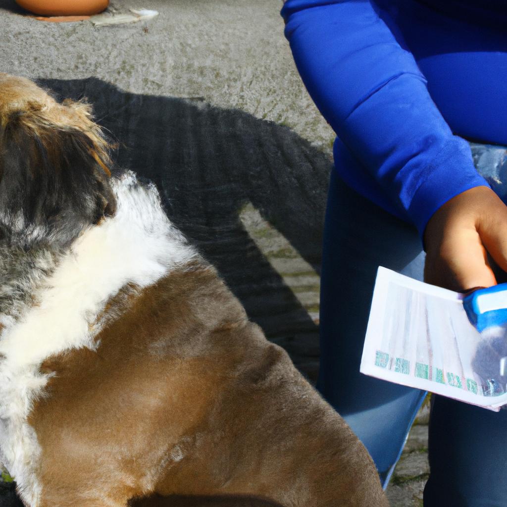 Pet Finance: Managing Your Budget for Dog Grooming Salon Expenses