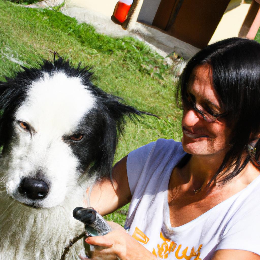 Pet Grooming Loyalty Programs: Enhancing Customer Retention in Dog Grooming Salons