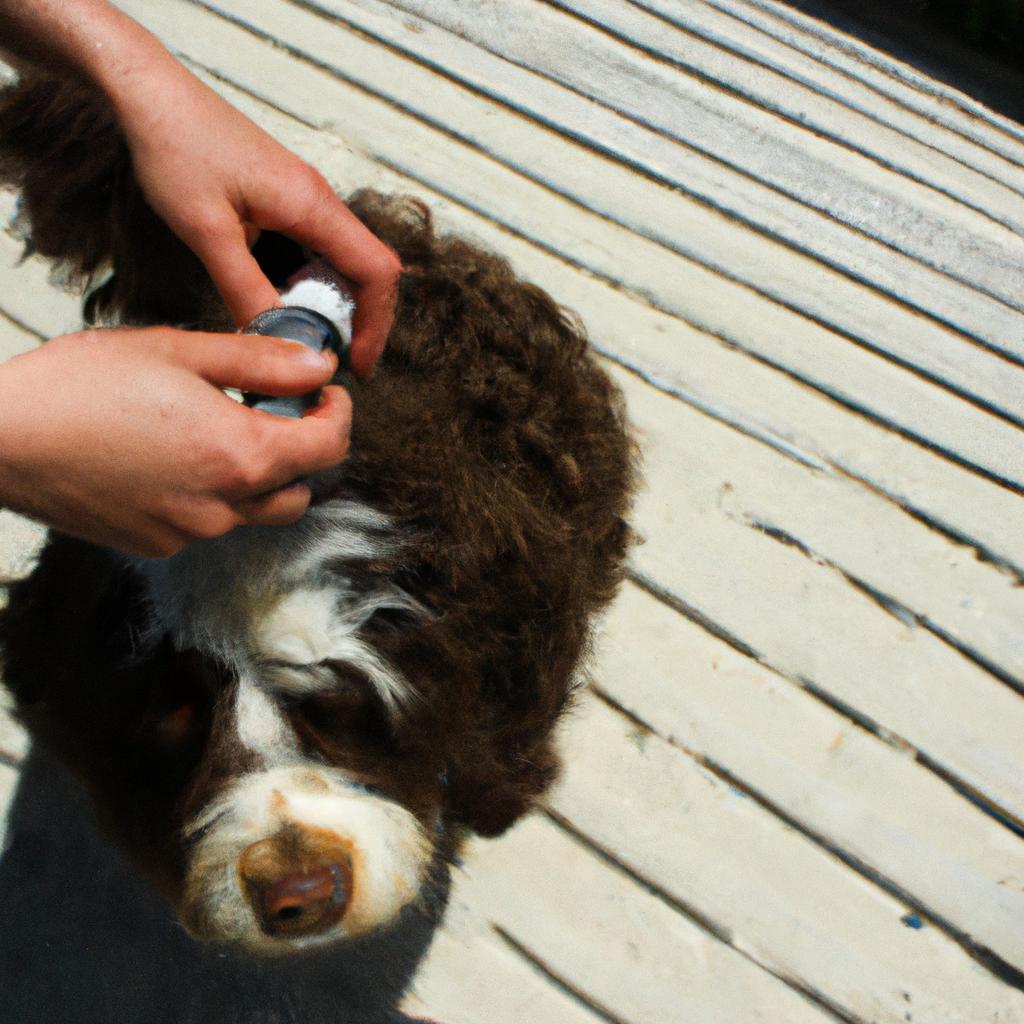 Scissor Grooming: Essential Techniques for Dog Grooming Salon: Coat Brushing